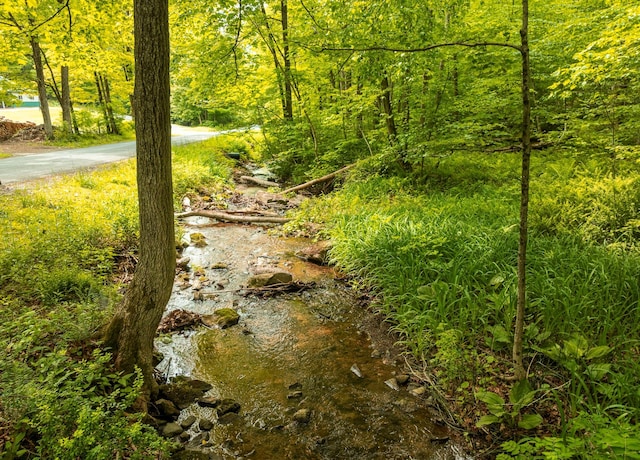 A Skunks Misery Rd, Millerton, NY 12546 - photo 6