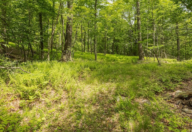 A Skunks Misery Rd, Millerton, NY 12546 - photo 8