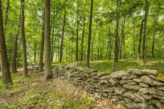 A Skunks Misery Rd, Millerton, NY 12546 - photo 10