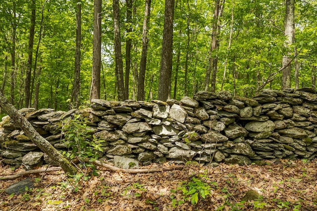 A Skunks Misery Rd, Millerton, NY 12546 - photo 11