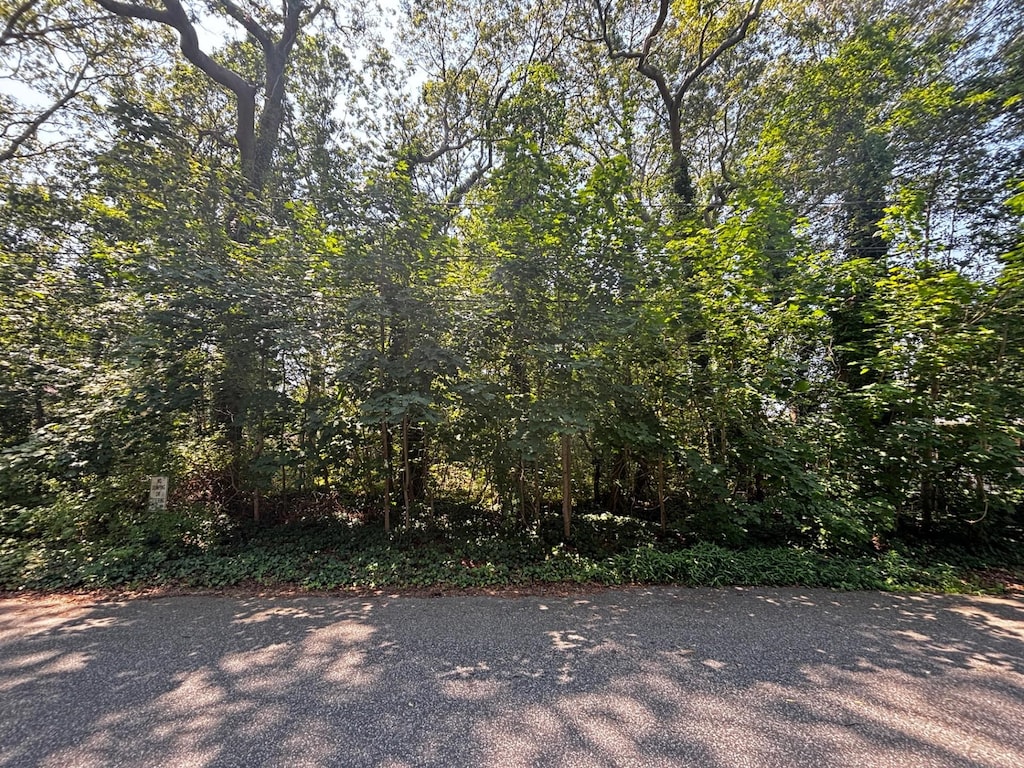 Holly Ln, Shirley, NY 11967 - photo 1