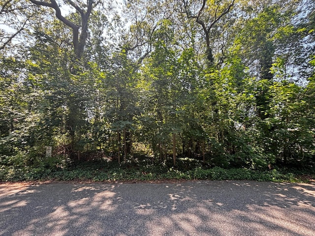 Holly Ln, Shirley, NY 11967 - photo 1