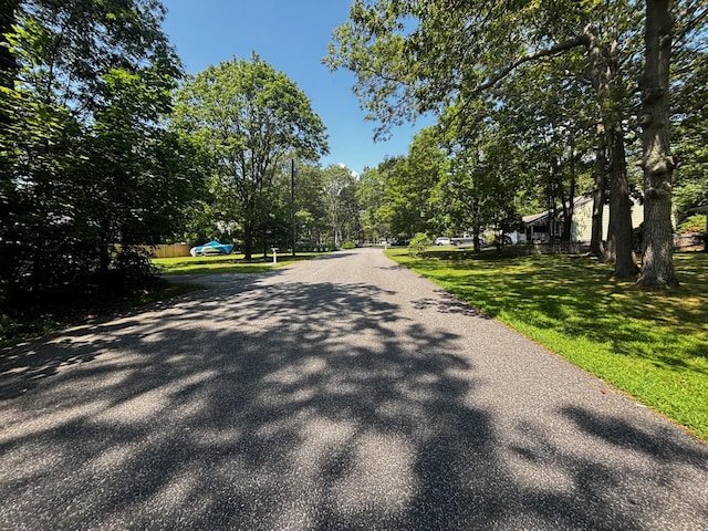 Holly Ln, Shirley, NY 11967 - photo 2