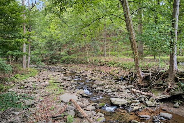 4260 State Route 17b, Callicoon, NY 12723 - photo 28