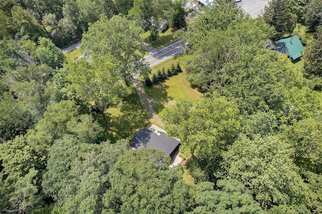 4260 State Route 17b, Callicoon, NY 12723 - photo 31