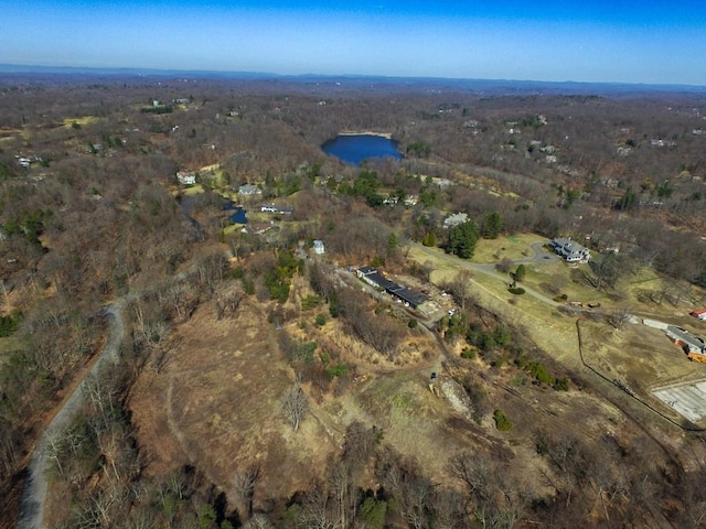 23 Wampus Lake Dr, Armonk, NY 10504 - photo 3