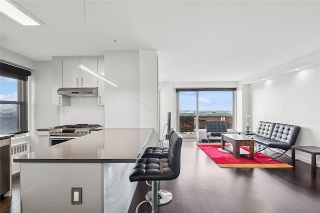 110-11 Queens Blvd Unit 30E, Forest Hills, NY 11375 - photo 6
