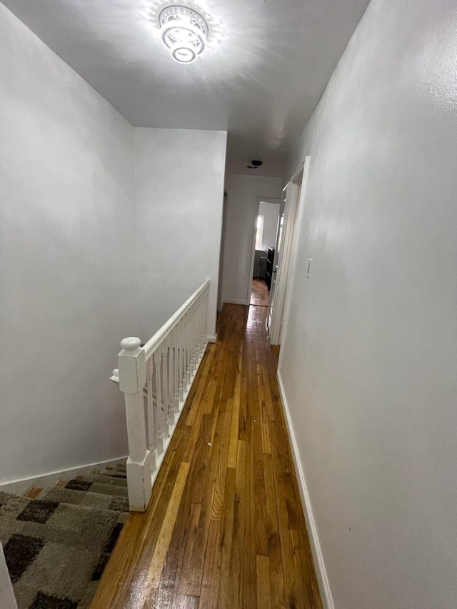 269 Balcom Ave, Bronx, NY 10465 - photo 13