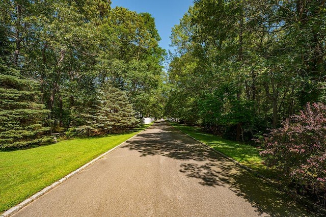 228 Pine Rd, Coram, NY 11727 - photo 8
