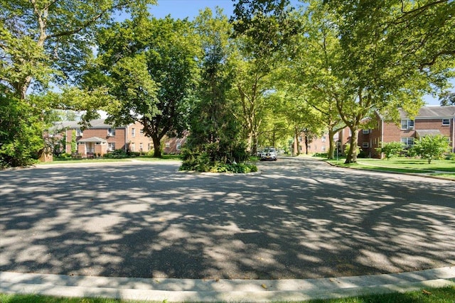 77 Edwards St Unit 2A, Roslyn Heights, NY 11577 - photo 21