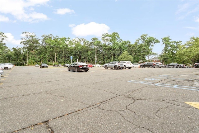 77 Edwards St Unit 2A, Roslyn Heights, NY 11577 - photo 23