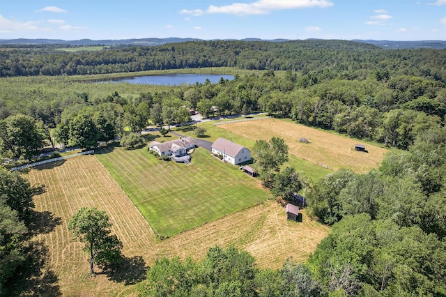 202 Behr Rd, Jeffersonville, NY 12748 - photo 42