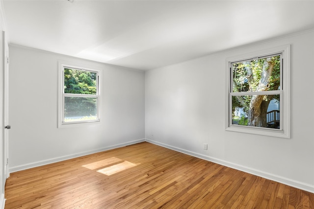 3 Bridge Rd, Setauket, NY 11733 - photo 10