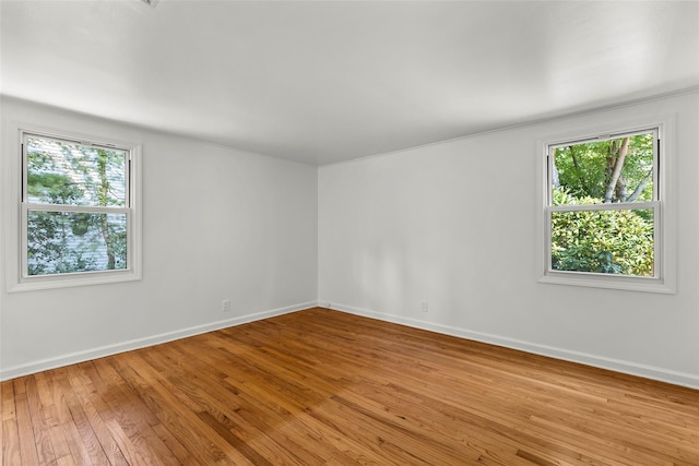 3 Bridge Rd, Setauket, NY 11733 - photo 11
