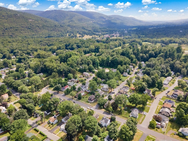 8 Hillcrest Ave, Ellenville, NY 12428 - photo 6