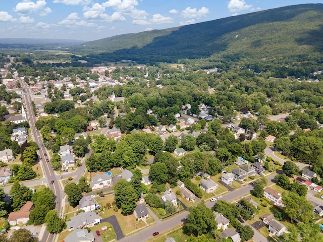 8 Hillcrest Ave, Ellenville, NY 12428 - photo 43