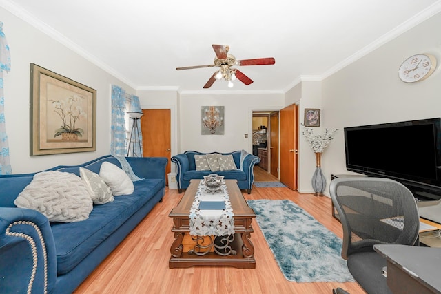 1868 Schenectady Ave, Brooklyn, NY 11234 - photo 11