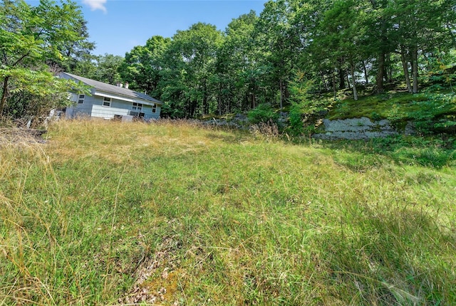 219 Benedict Rd, Montgomery, NY 12549 - photo 34