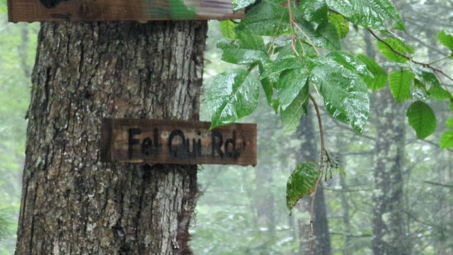 11 Fel Qui Rd, Woodstock, NY 12498 - photo 25