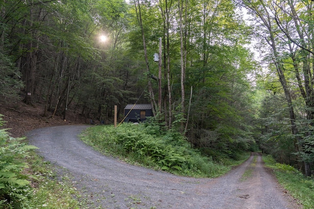 Broad Channel Rd, Andes, NY 13731 - photo 8