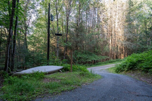 Broad Channel Rd, Andes, NY 13731 - photo 10