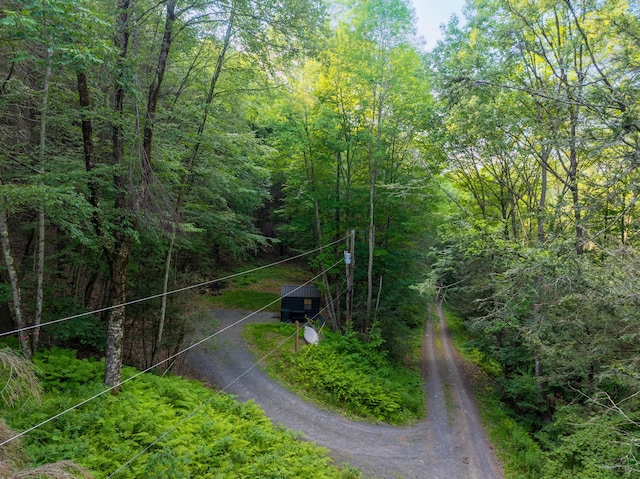 Broad Channel Rd, Andes, NY 13731 - photo 11