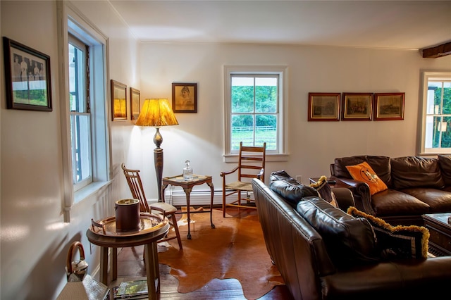 729 Cold Spring Rd, Stanfordville, NY 12581 - photo 29