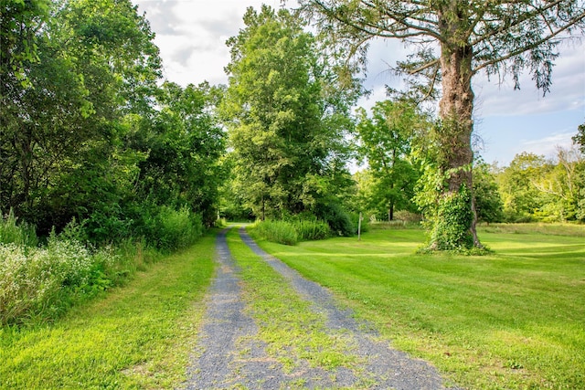 729 Cold Spring Rd, Stanfordville, NY 12581 - photo 43