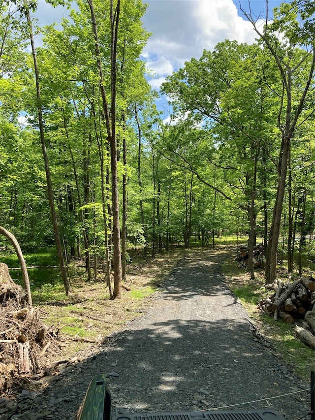 716 Upper Mountain Rd, Pine Bush, NY 12566 - photo 1