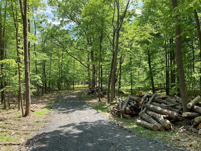 716 Upper Mountain Rd, Pine Bush, NY 12566 - photo 2