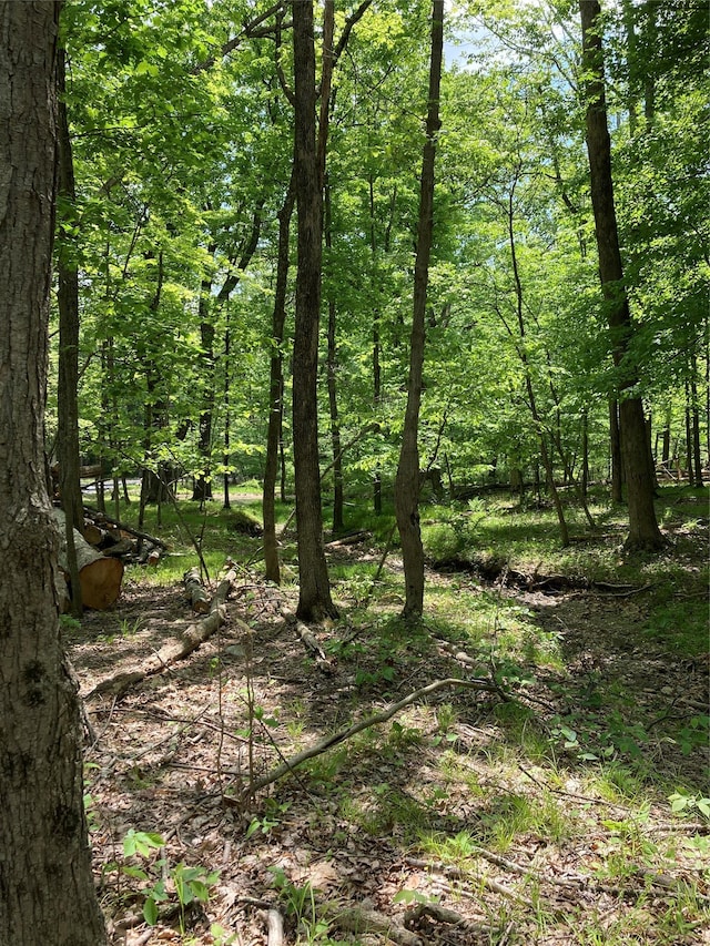 716 Upper Mountain Rd, Pine Bush, NY 12566 - photo 3