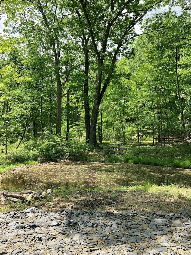 716 Upper Mountain Rd, Pine Bush, NY 12566 - photo 5