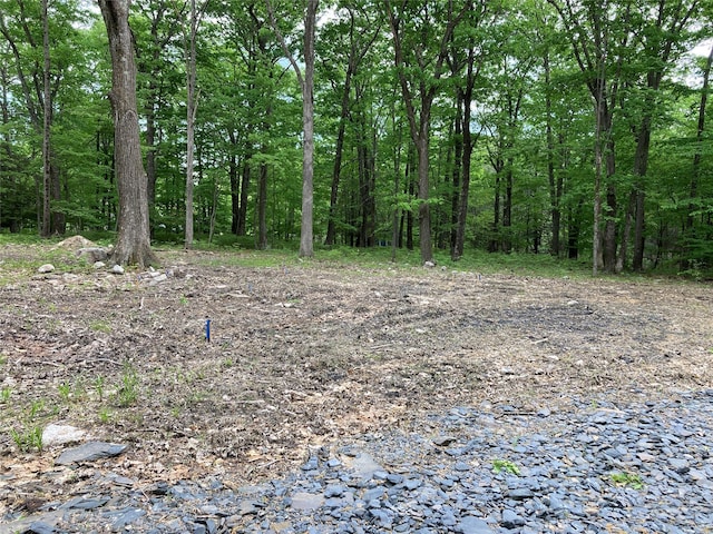 716 Upper Mountain Rd, Pine Bush, NY 12566 - photo 6