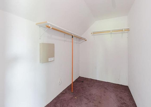 42 Clymer St, Port Jefferson Station, NY 11776 - photo 16