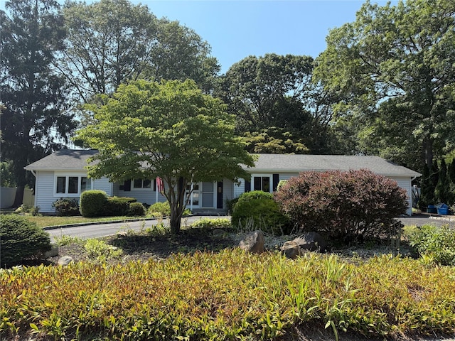 24 Blackfoot Trl, Shoreham, NY 11786 - photo 1