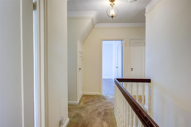 53-39 Bell Blvd, Bayside, NY 11364 - photo 14