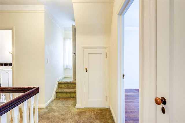 53-39 Bell Blvd, Bayside, NY 11364 - photo 15
