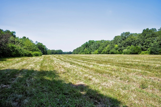 107 Caramel Rd, Commack, NY 11725 - photo 4