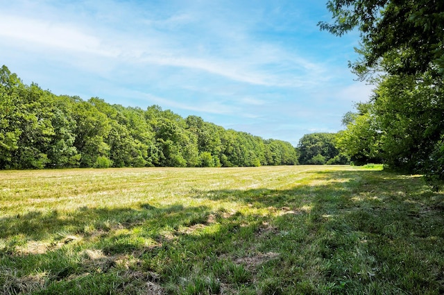 107 Caramel Rd, Commack, NY 11725 - photo 5