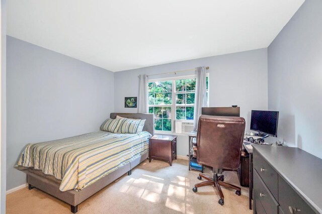 17 Mercer St, Port Jefferson Station, NY 11776 - photo 24