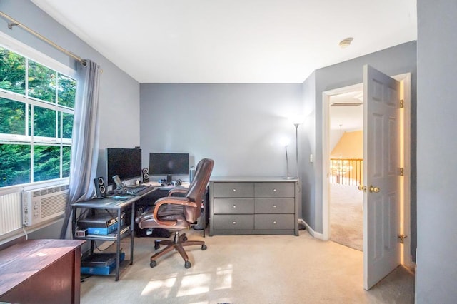 17 Mercer St, Port Jefferson Station, NY 11776 - photo 25