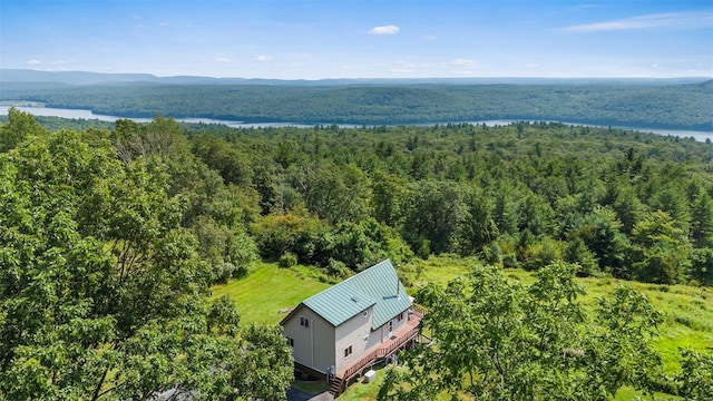 65 Phil Martin Rd, Ellenville, NY 12458 - photo 1