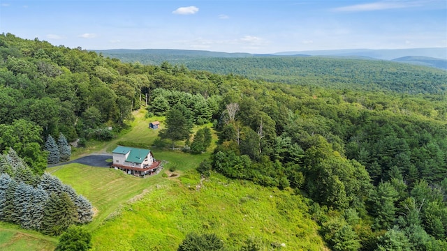 65 Phil Martin Rd, Ellenville, NY 12458 - photo 3
