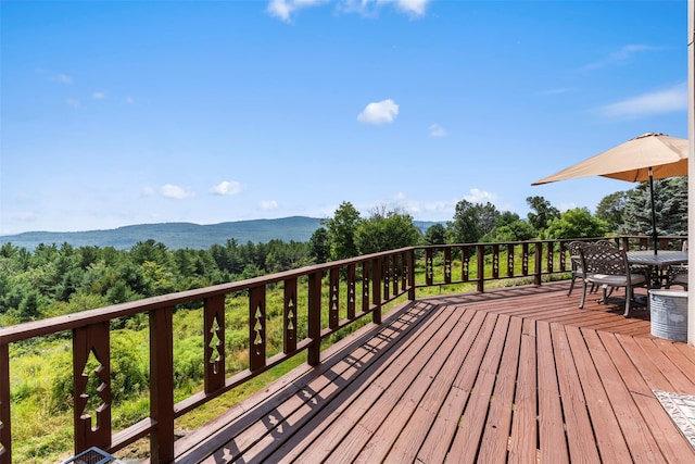 65 Phil Martin Rd, Ellenville, NY 12458 - photo 28