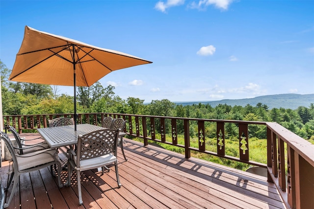 65 Phil Martin Rd, Ellenville, NY 12458 - photo 29