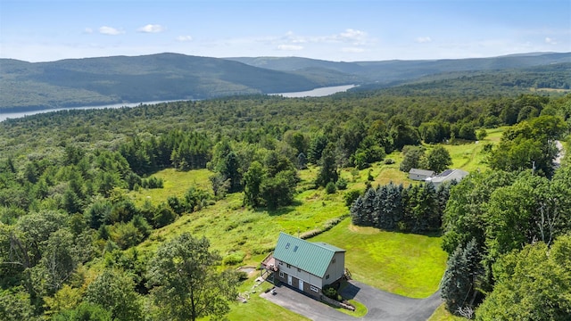 65 Phil Martin Rd, Ellenville, NY 12458 - photo 32