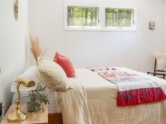 1002 Cairo Junction Road Ext, Catskill, NY 12414 - photo 11