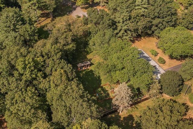 1002 Cairo Junction Road Ext, Catskill, NY 12414 - photo 19