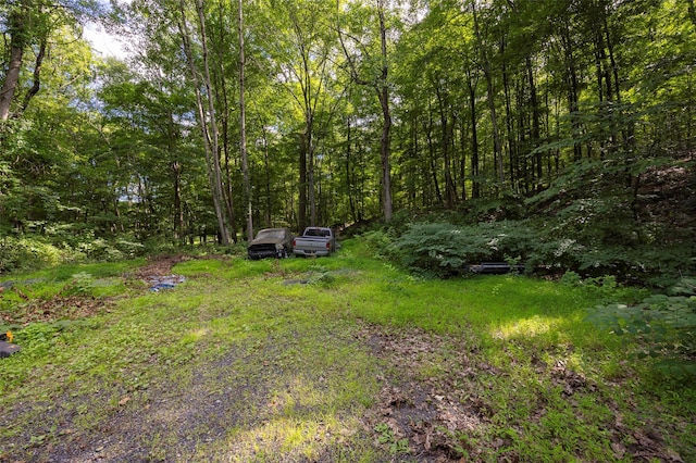 11 Richardsville Rd, Carmel, NY 10512 - photo 6