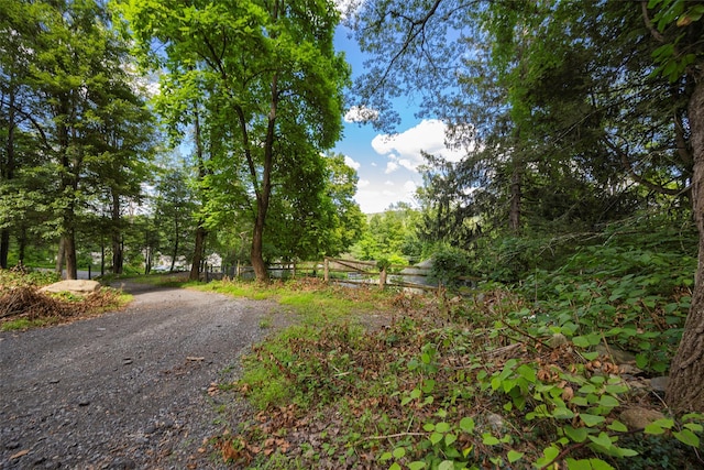 11 Richardsville Rd, Carmel, NY 10512 - photo 7